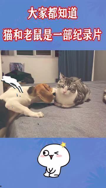 隔壁吃瓜王大爷,隔壁吃瓜王大爷的八卦风云录