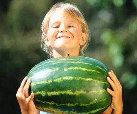 安溪龙湖吃瓜事件,一场引发热议的街头冲突