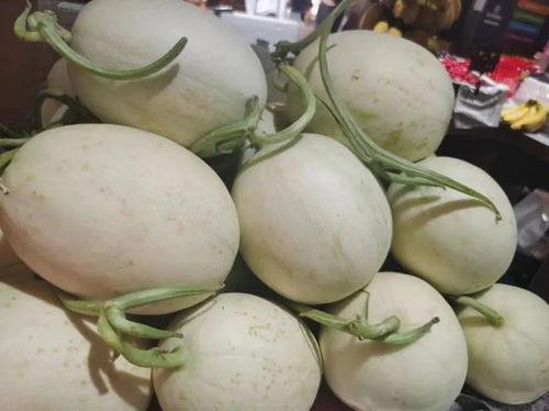 成人吃瓜群,揭秘网络社交的趣味与争议