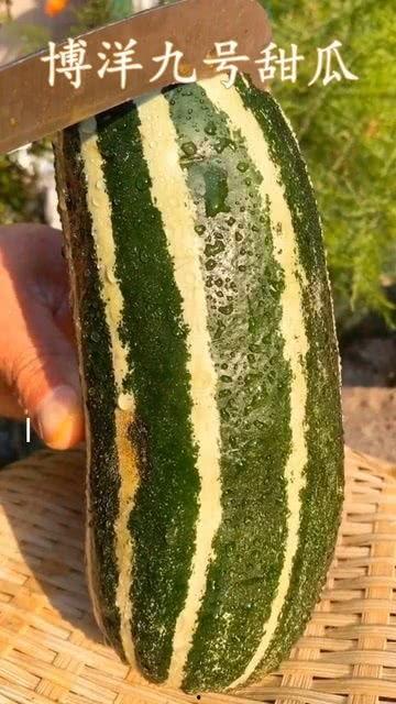 吃瓜群众瓜没熟,揭秘“吃瓜群众”的等待之旅