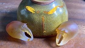 吃瓜大叔特效,揭秘网络红人背后的神秘魅力