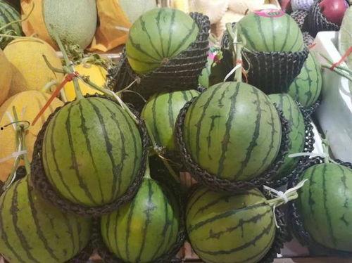 吃瓜第1线,揭秘娱乐圈幕后故事