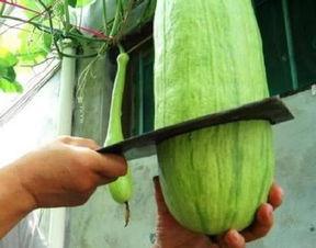 饭店吃瓜被砍,饭店吃瓜遭遇砍人事件