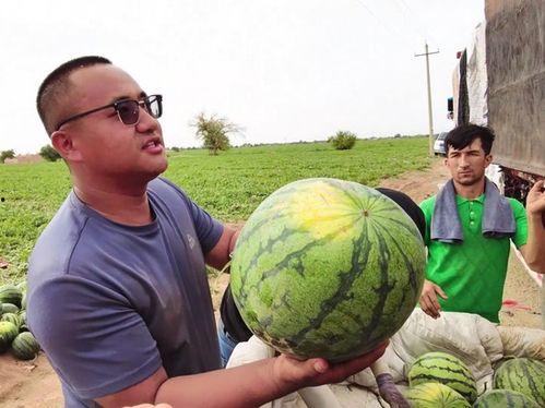 吃瓜赵长春,揭秘娱乐圈背后的故事