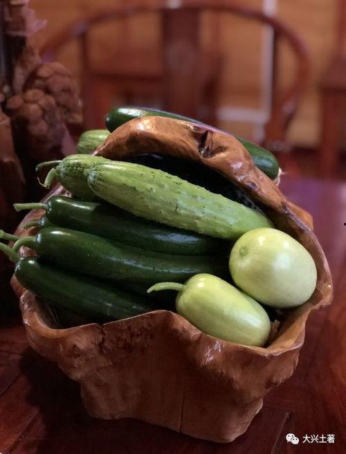 网红吃瓜视频地址