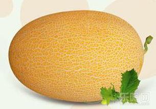 吃哈密瓜长皮疹