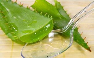 乙肝吃土瓜的好处,乙肝患者食用土瓜的益处概述