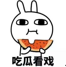 不雅吃瓜爆料文字