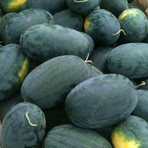 吃娱看瓜,吃娱看瓜，揭秘明星幕后故事