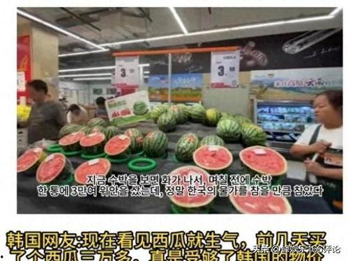 吃瓜视频看大戏,吃瓜群众视角下的宫廷大戏