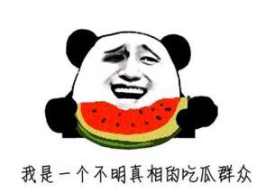 经常吃瓜牛,揭秘“吃瓜牛”的美食传奇