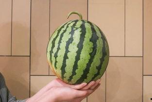 衢州 吃瓜,瓜果飘香，品味生活之美