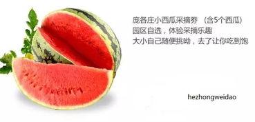 经典吃瓜中心,娱乐圈幕后风云大揭秘