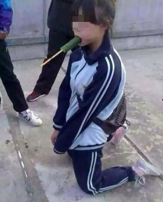 鹤壁女生霸凌吃瓜,网络吃瓜背后的真相与反思”