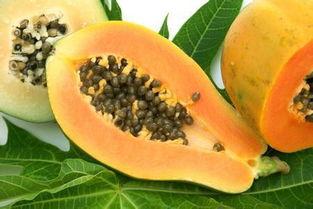 胃病能否吃瓜,瓜类食物的适宜与禁忌