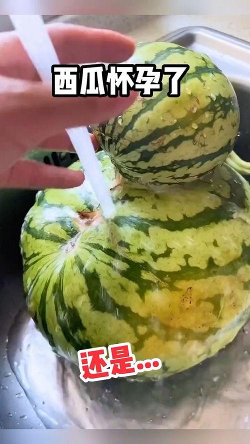 青海搞笑吃瓜视频,笑料百出，网友直呼“太欢乐”！