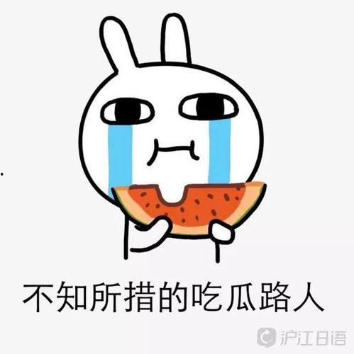 吃瓜小二,揭秘娱乐圈那些不为人知的幕后故事