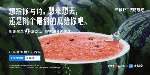 吃瓜吃饼文案怎么写,尽享夏日美味时光