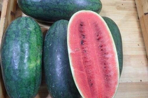 山东吃瓜网站,揭秘山东美食背后的故事与趣闻