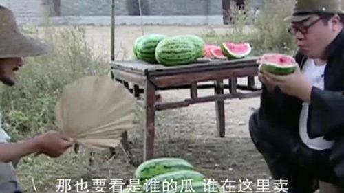 胖翻译 吃瓜,揭秘“吃瓜”背后的网络文化现象