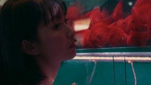 吃瓜少女和猹,一场意外的瓜田奇遇