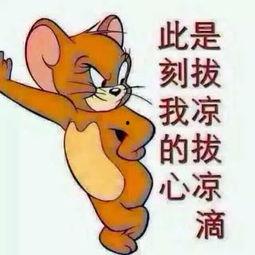 吃瓜群众吖合集,揭秘娱乐圈幕后故事