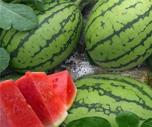 今日吃瓜51大瓜,娱乐圈风云再起，揭秘幕后真相