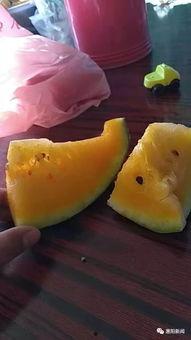 出售吃瓜群,揭秘热门话题背后的社交现象