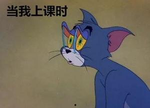 吃瓜心情曲,跟随吃瓜心情曲，畅游欢乐音乐之旅