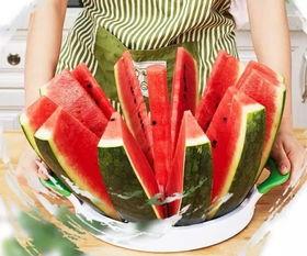 认真吃瓜者,认真吃瓜者的深度剖析