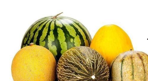 吃瓜视频类型,带你领略网络娱乐新潮流