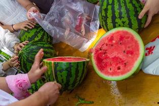 内部吃瓜视频,吃瓜视频背后的惊人真相