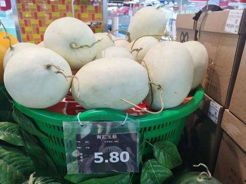 中山市吃瓜,探寻这座瓜果飘香城市的味蕾之旅