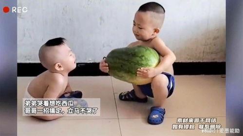 吃瓜吃到亲哥,一场家庭闹剧的揭秘之旅