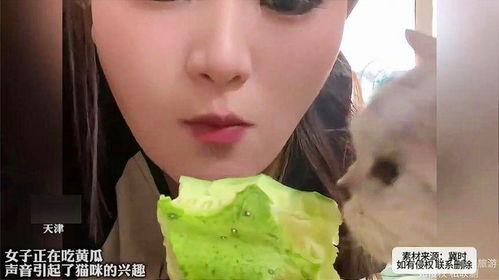 女人吃瓜了,揭秘娱乐圈背后的故事与真相