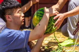 学院长椅吃瓜,揭秘校园里的闲话风云