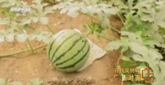 吃瓜江苏常州,探寻江苏常州的美食奥秘