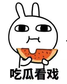 去瓜园摘瓜吃的说说句子,体验摘瓜美食之旅